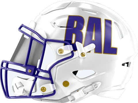 Baltimore Ravens helmet