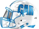 Panthers helmet