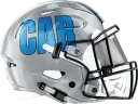Panthers helmet