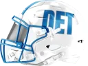 Lions helmet