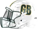 Packers helmet