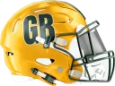 Packers helmet