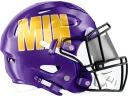 Minnesota Vikings helmet