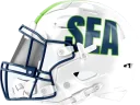 Seahawks helmet