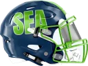 Seahawks helmet